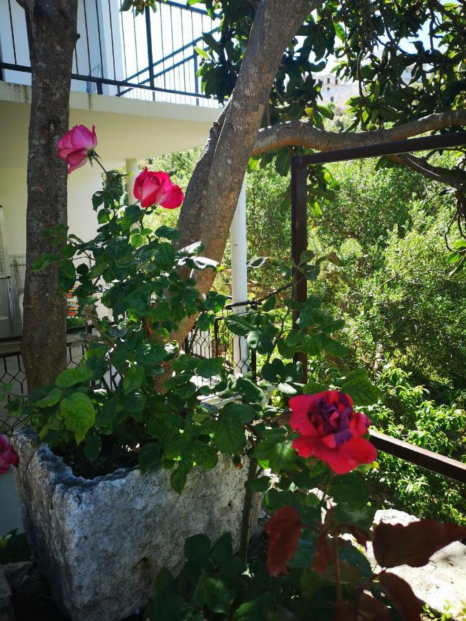 Apartman Sissy Primošten Exterior foto